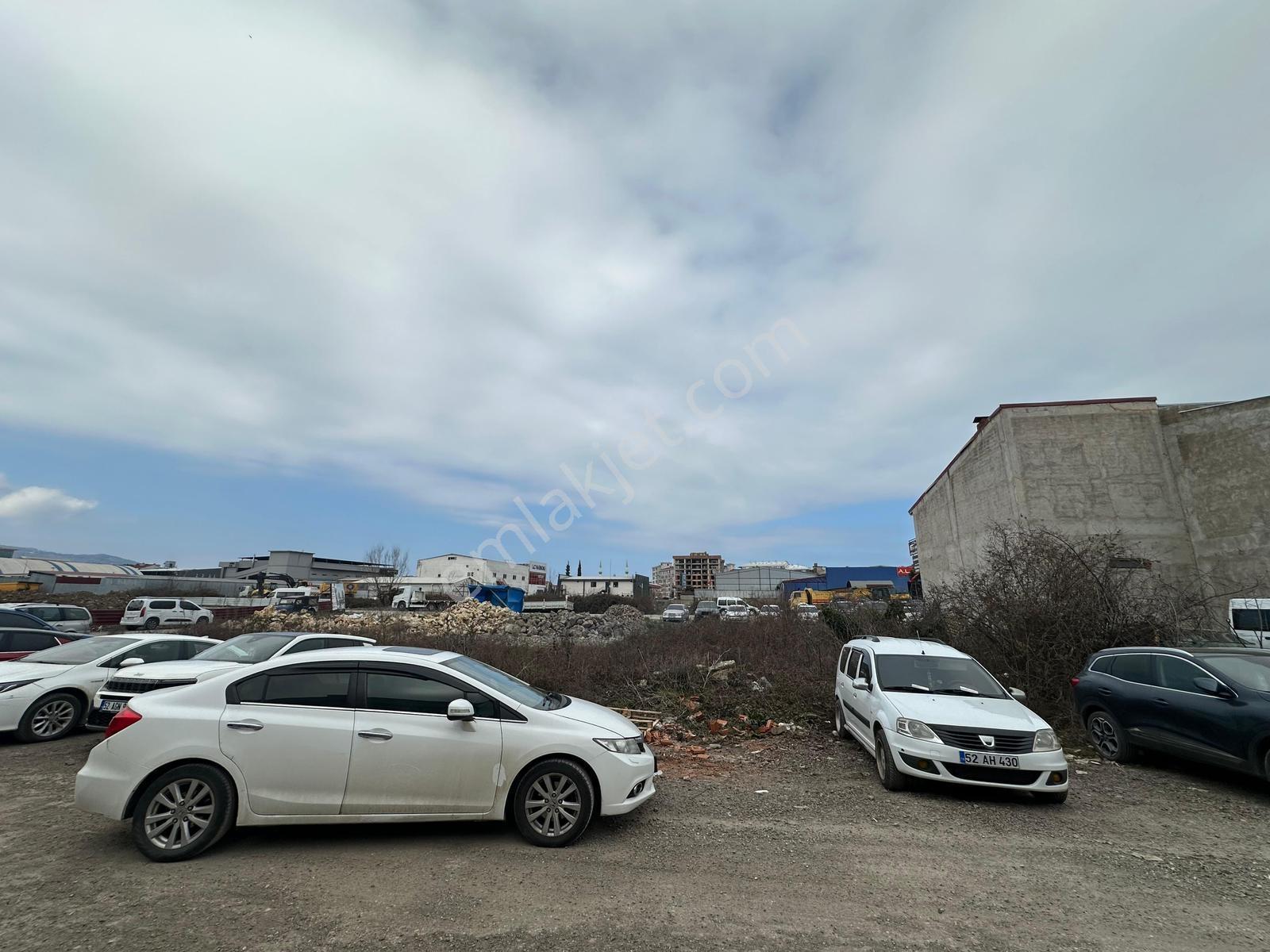 Ordu Hekimoğlu Emlak Karapınar Sanayide 3 Katlı Kiralık İşyeri - Görsel 27