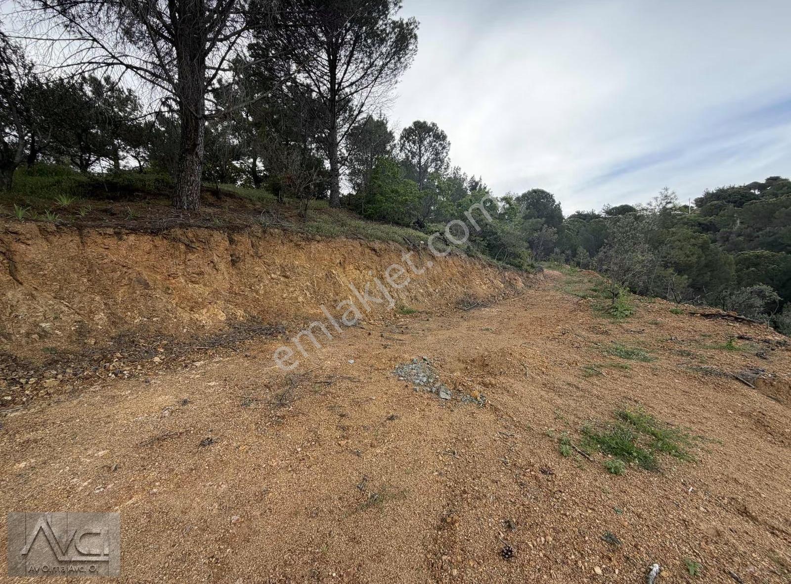 Avcı'dan Doyran 2400m2 Full Manzara Arac Takasına Uygun - Görsel 4