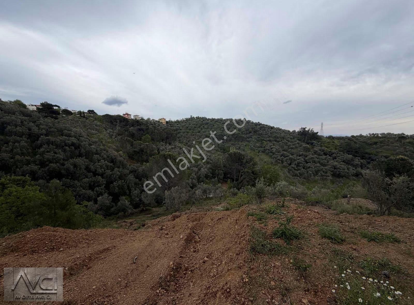Avcı'dan Doyran 2400m2 Full Manzara Arac Takasına Uygun - Görsel 8