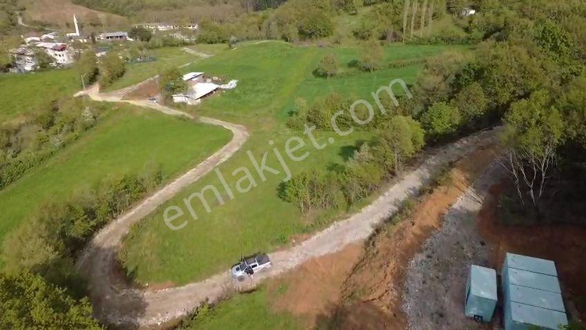 Öztarlacıdan Akarca Köy Dibi 3250 M2 Satılık Arazi - Görsel 3