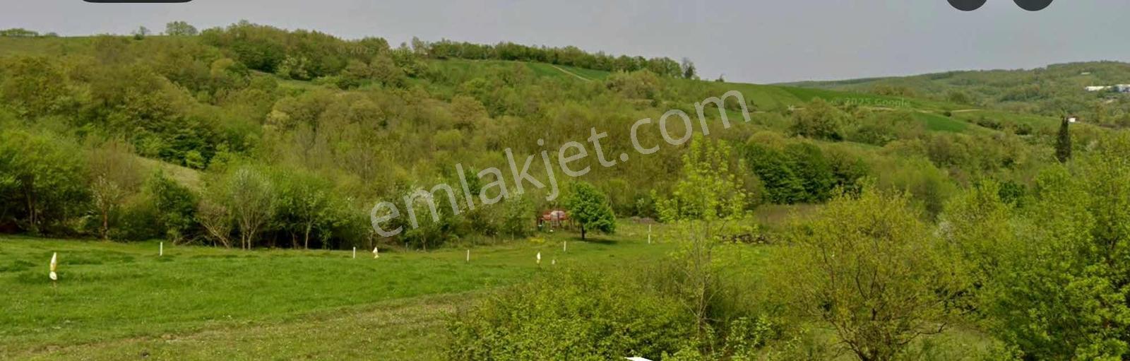 Kocaeli Körfez Köy Girişinde 9423m² Müstakil Arsa!
