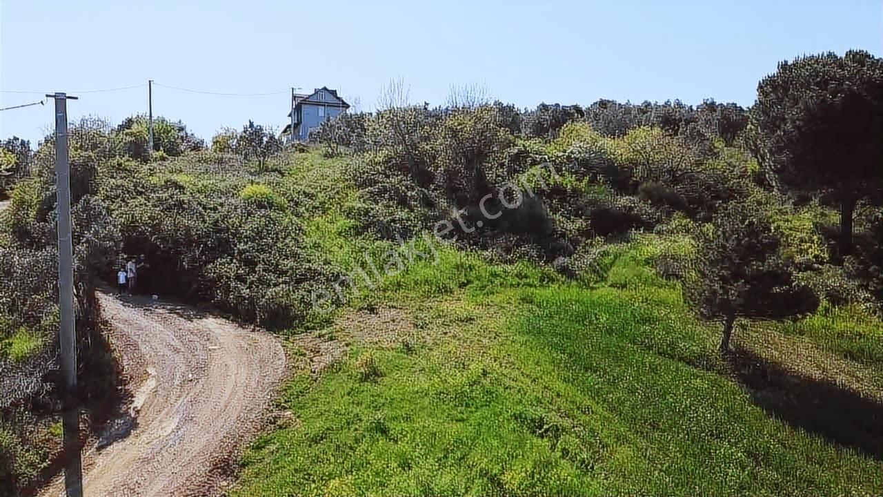 Yalova Çınarcık Kocadere'de Satılık Fırsat Arazi - Görsel 13