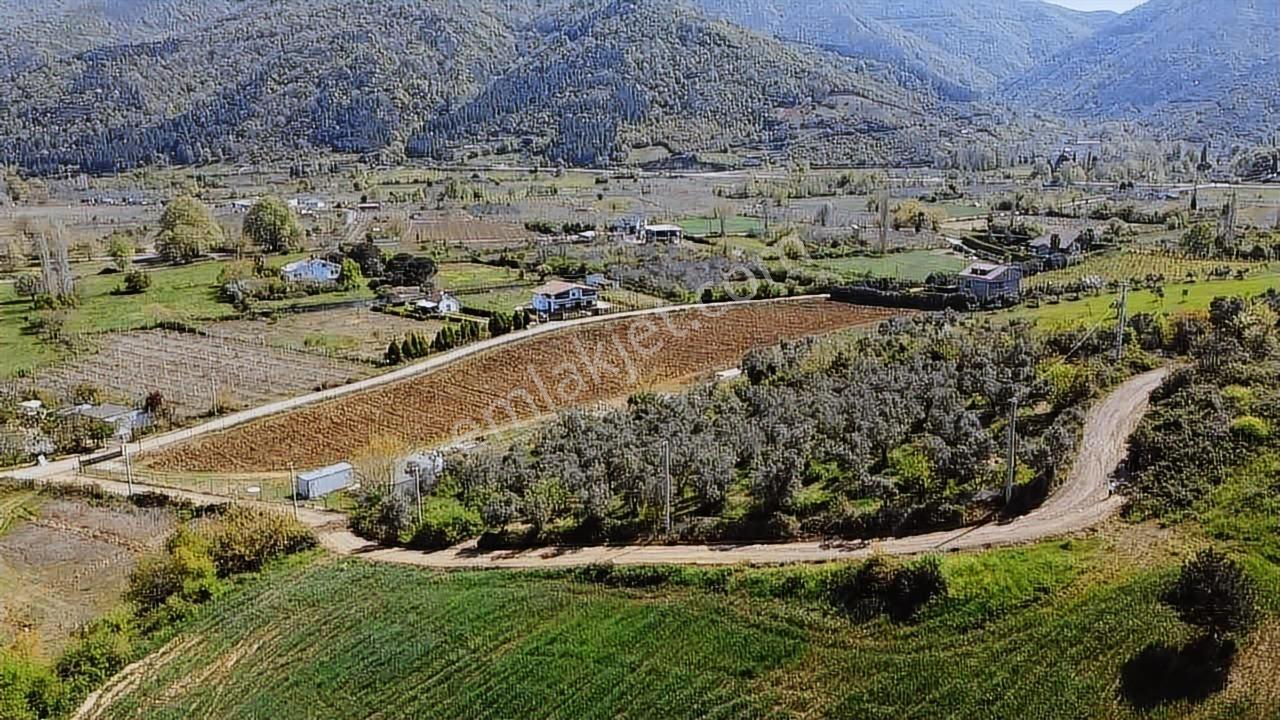 Yalova Çınarcık Kocadere'de Satılık Fırsat Arazi - Görsel 33