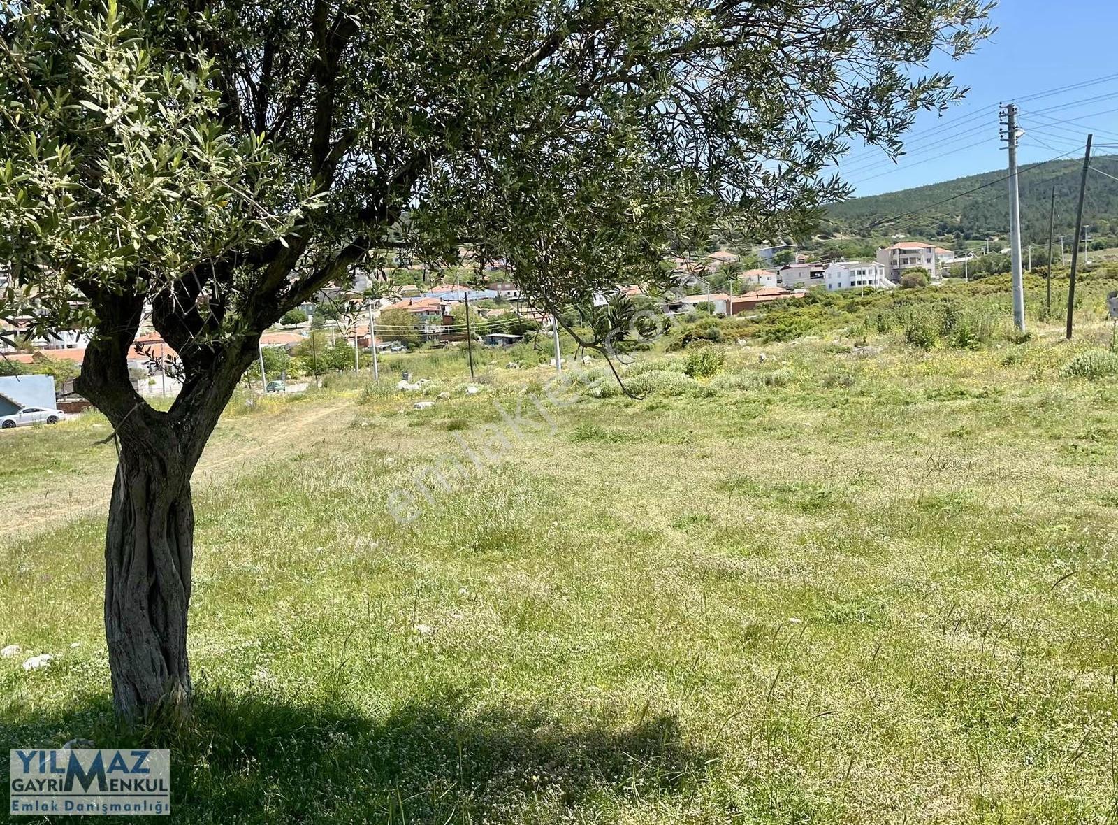 Çandarlı Kavşağında 390 M² İkiz Villalık Satılık Arsa - Görsel 6