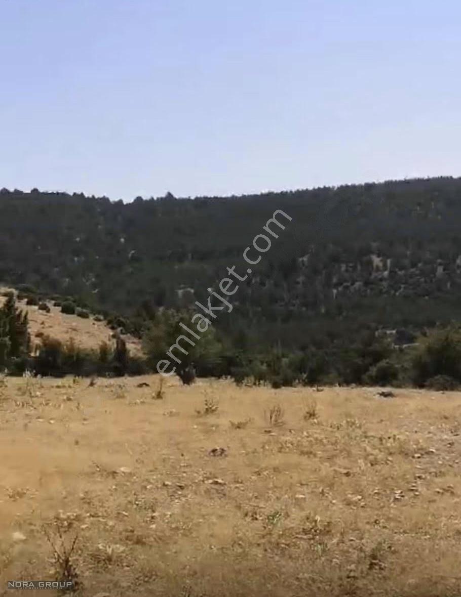 Serinhisar Ayaz Satılık Yatırımlık Tarla - Görsel 6