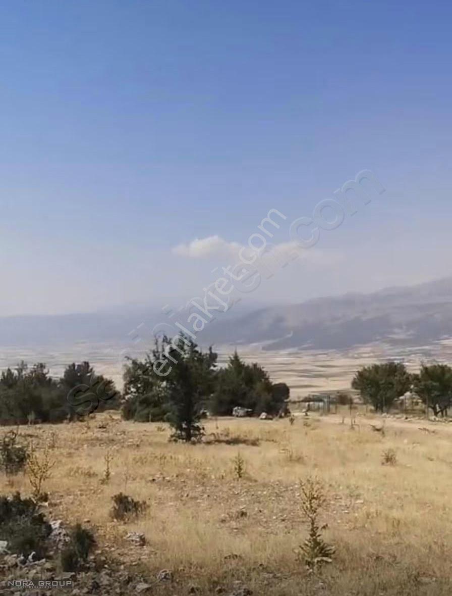 Serinhisar Ayaz Satılık Yatırımlık Tarla - Görsel 4