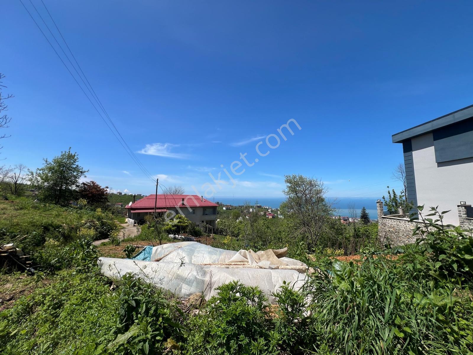 Trabzon Pelitli Yeşilköy 337 M2 Konut İmarlı Arsa - Görsel 8