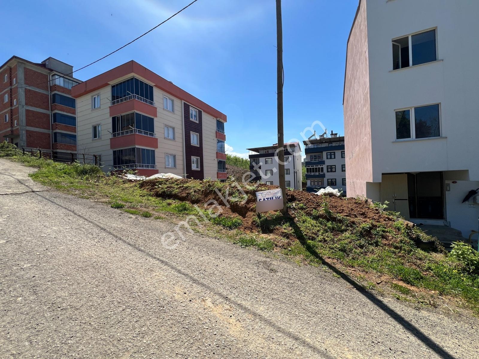 Trabzon Pelitli Yeşilköy 337 M2 Konut İmarlı Arsa - Görsel 11