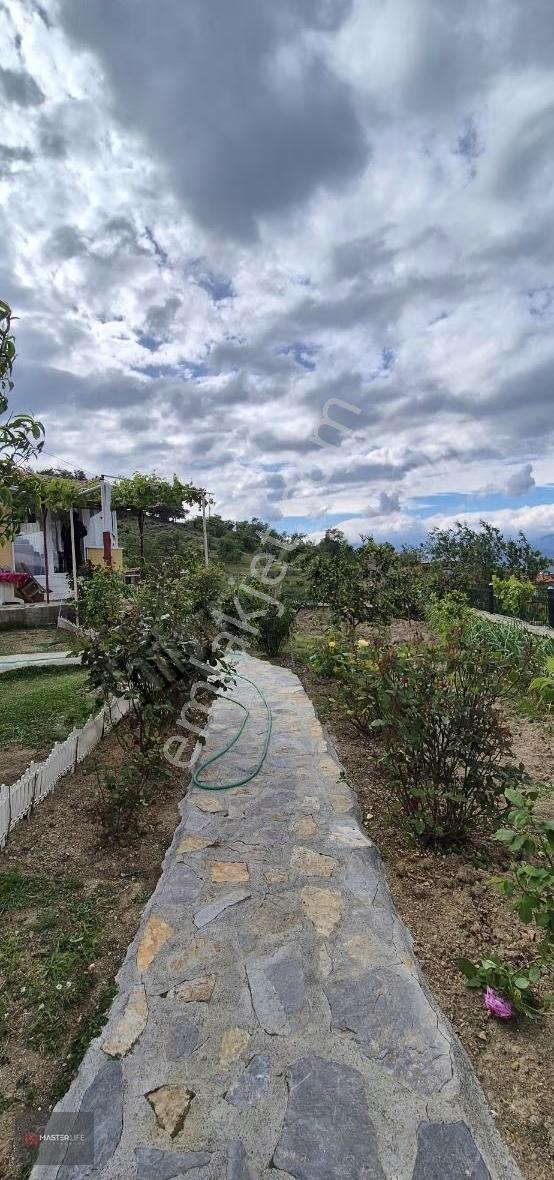 Doğallığın İçerisinde - Görsel 16