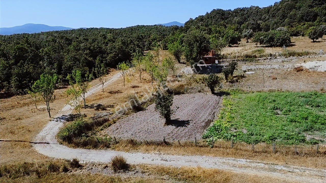 Yalova Termal'de Otel İmarlı Fırsat Arsa - Görsel 32