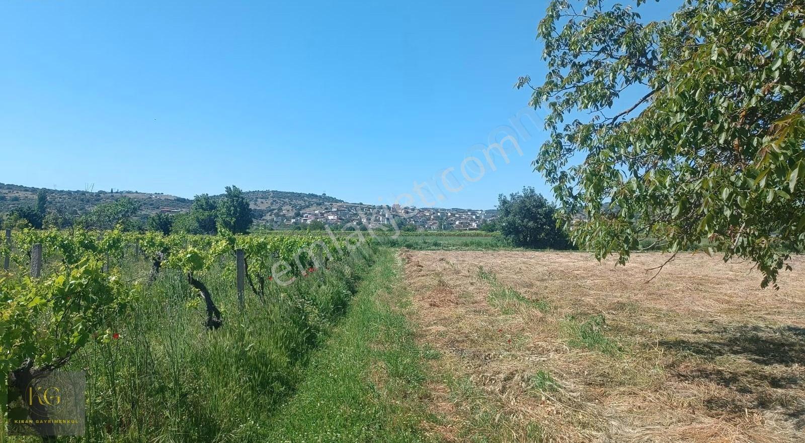 Kıran Gayrimenkul Den Manisa Yunusemre Yağcılar Köyünde Satılık 870 M² Tek Tapu Tarla - Görsel 8