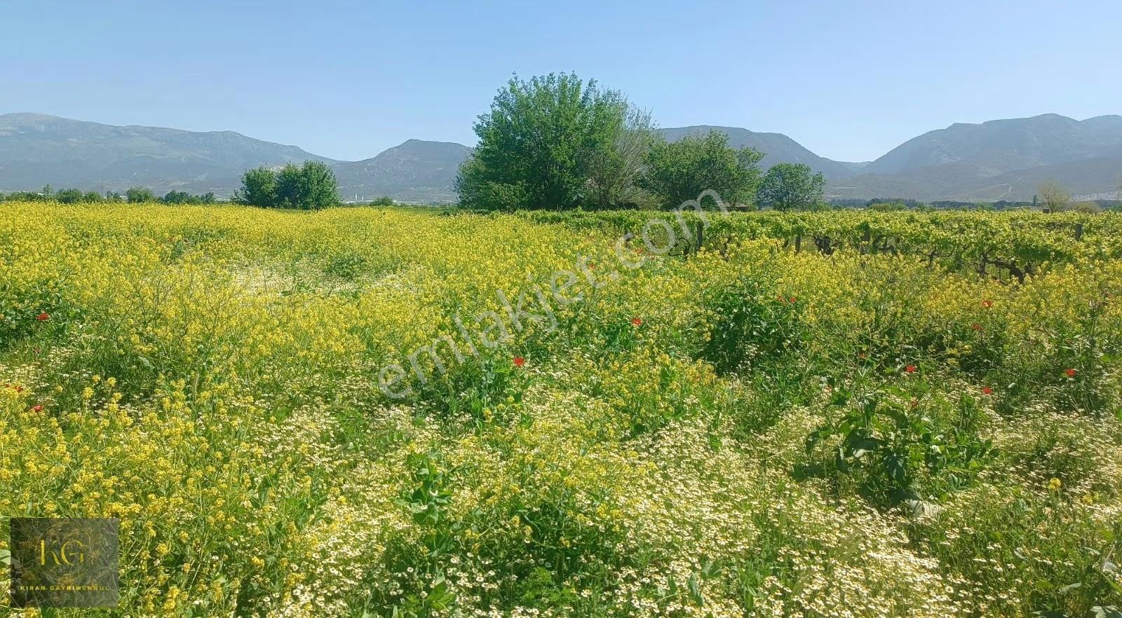 Kıran Gayrimenkul Den Manisa Yunusemre Yağcılar Köyünde Satılık 870 M² Tek Tapu Tarla - Görsel 5