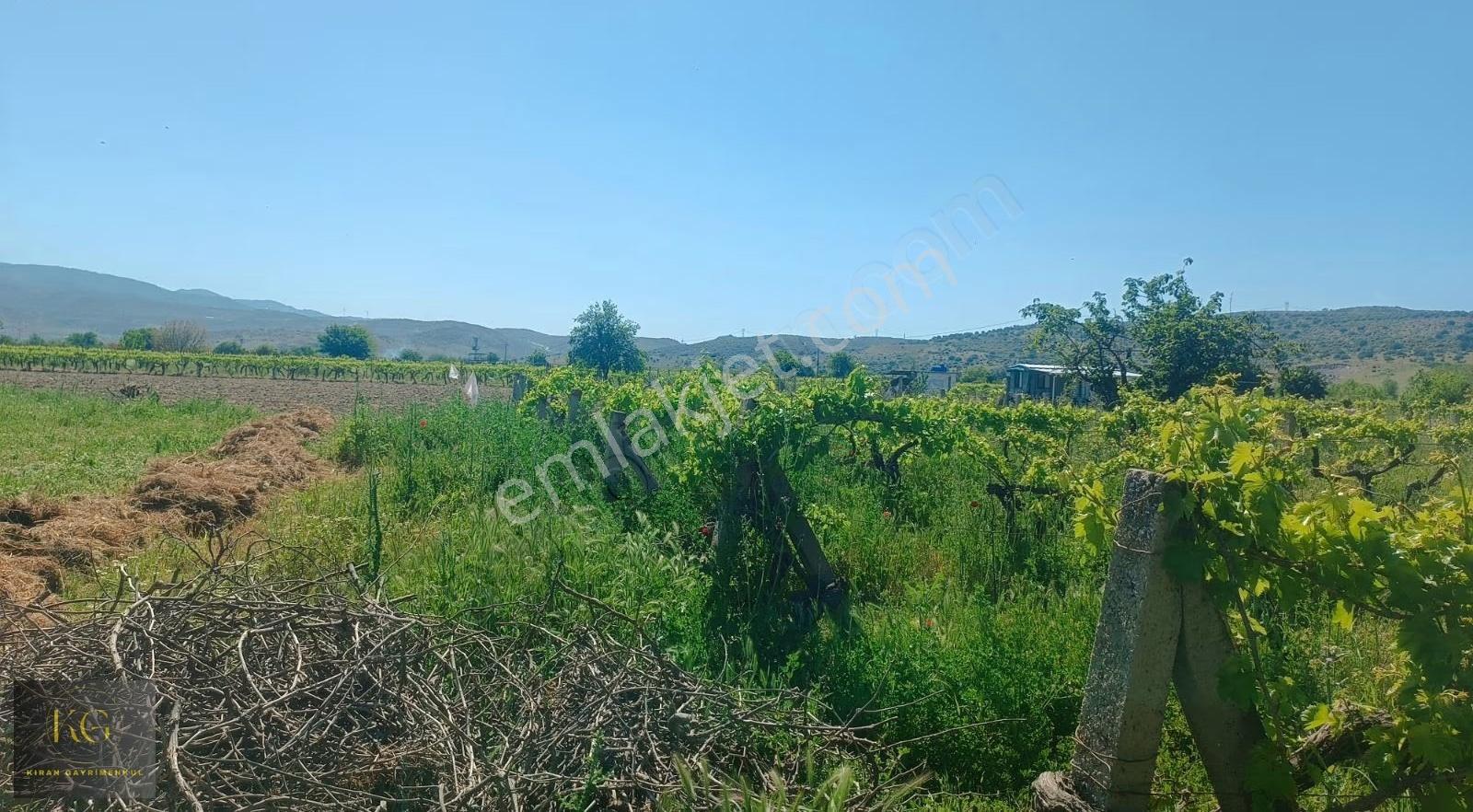 Kıran Gayrimenkul Den Manisa Yunusemre Yağcılar Köyünde Satılık 870 M² Tek Tapu Tarla - Görsel 9