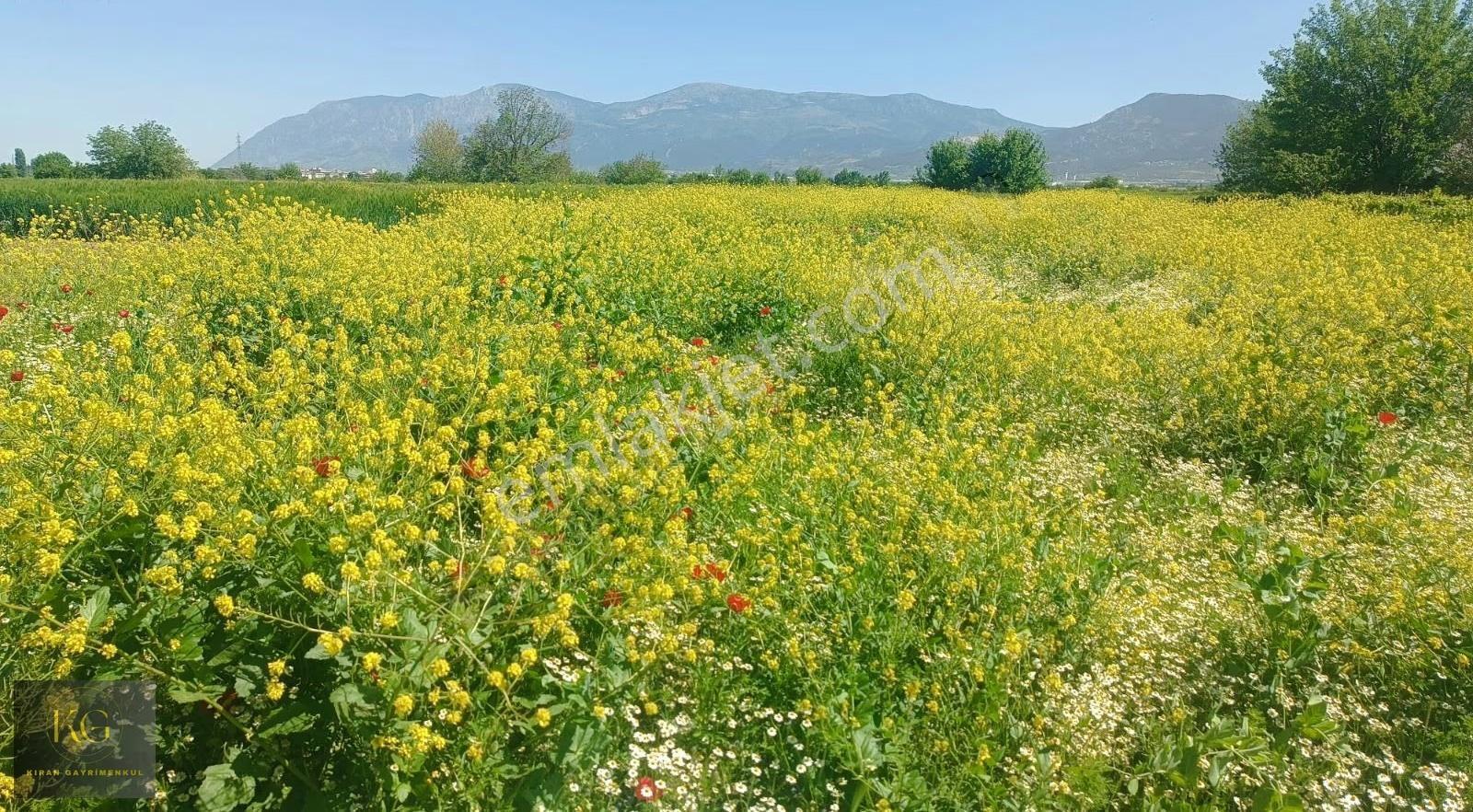 Kıran Gayrimenkul Den Manisa Yunusemre Yağcılar Köyünde Satılık 870 M² Tek Tapu Tarla - Görsel 2