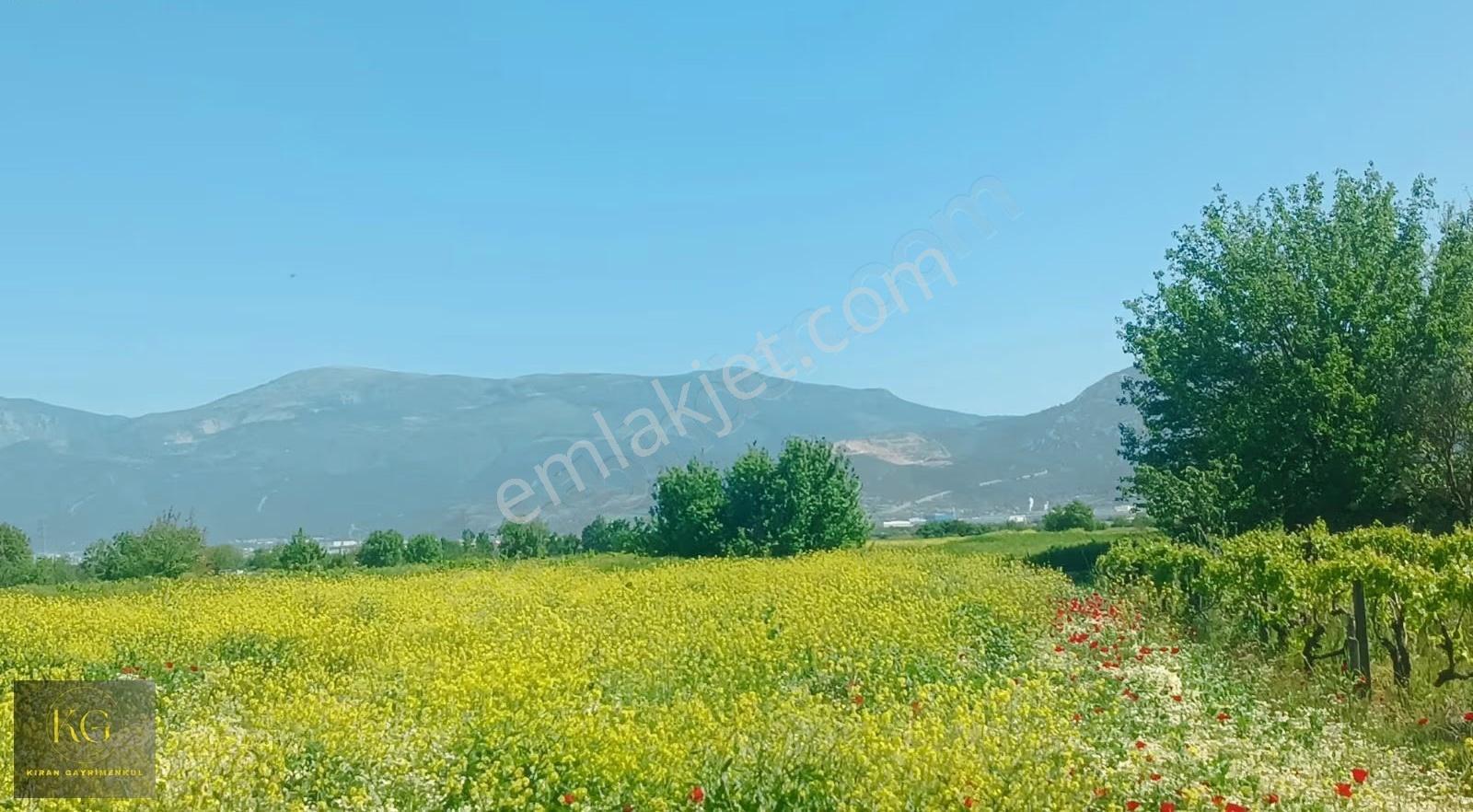 Kıran Gayrimenkul Den Manisa Yunusemre Yağcılar Köyünde Satılık 870 M² Tek Tapu Tarla - Görsel 7