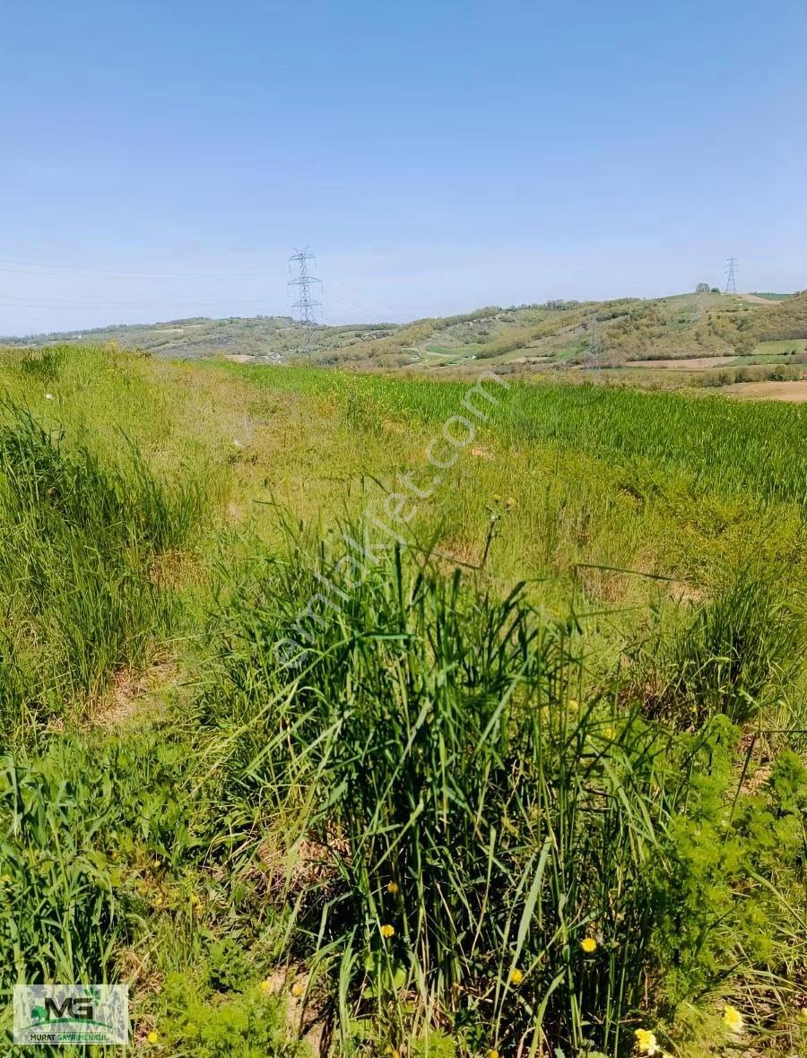 Kocaeli Kandıra Peletpınar Köyü Kelepir Arsa - Görsel 12