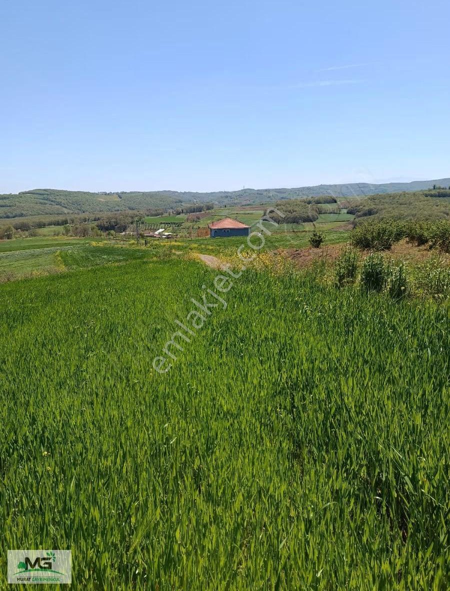 Kocaeli Kandıra Peletpınar Köyü Kelepir Arsa - Görsel 17