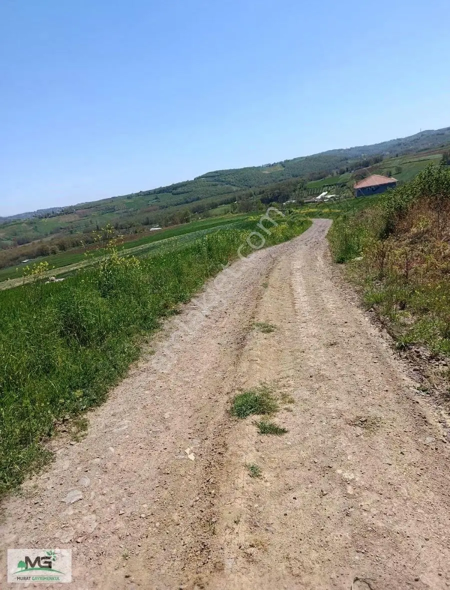 Kocaeli Kandıra Peletpınar Köyü Kelepir Arsa - Görsel 3
