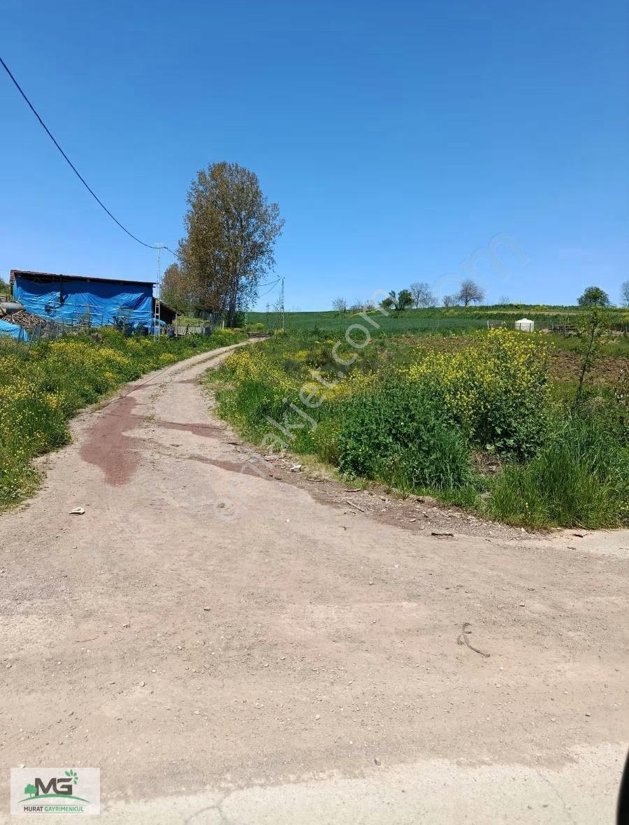 Kocaeli Kandıra Peletpınar Köyü Kelepir Arsa - Görsel 28