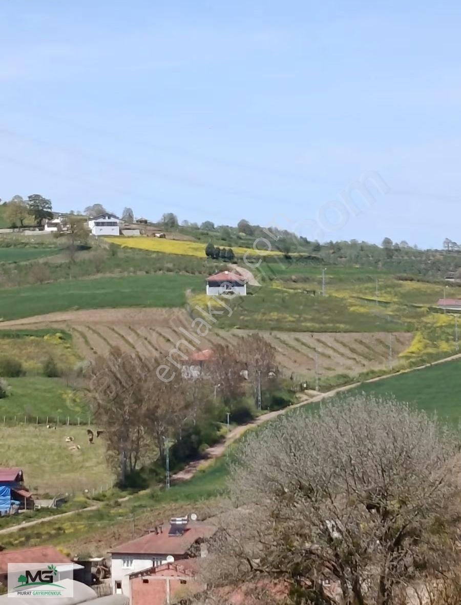 Kocaeli Kandıra Peletpınar Köyü Kelepir Arsa - Görsel 15