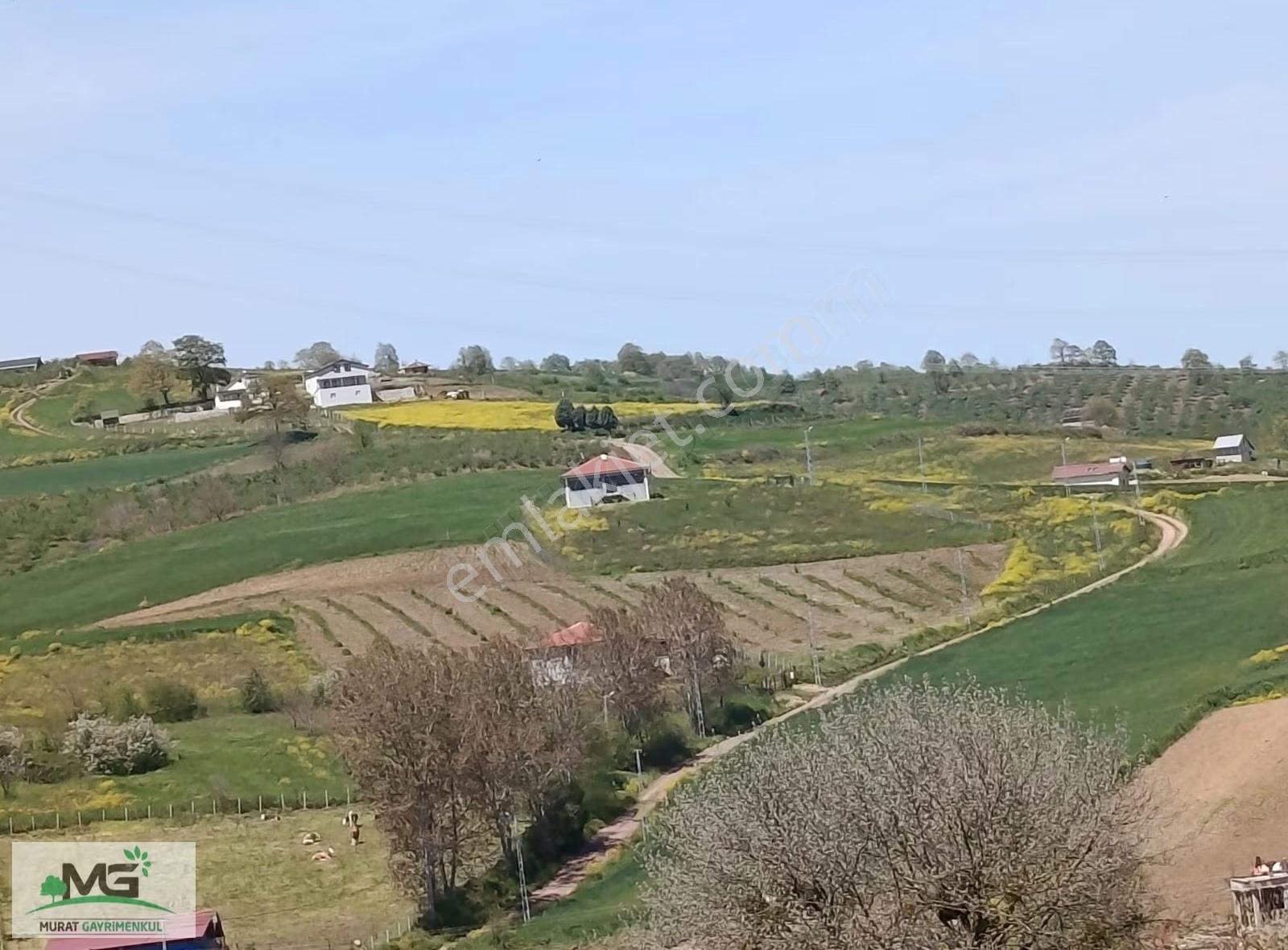 Kocaeli Kandıra Peletpınar Köyü Kelepir Arsa - Görsel 27