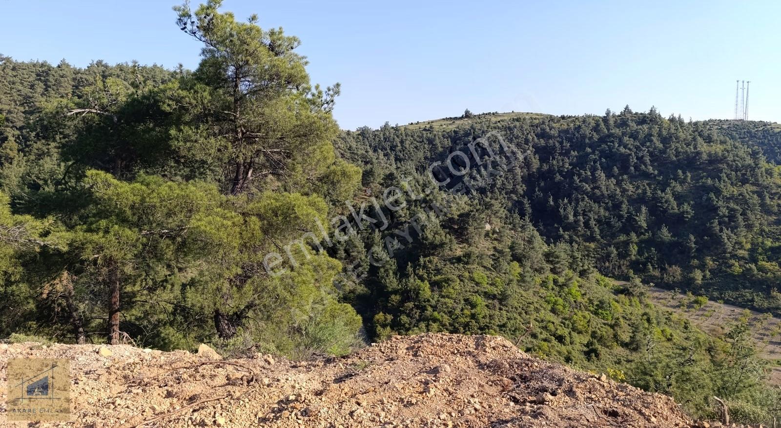 Bilecik Söğüt Küre'de Manzaralı 2.582 M² Satılık Tarla - Görsel 10