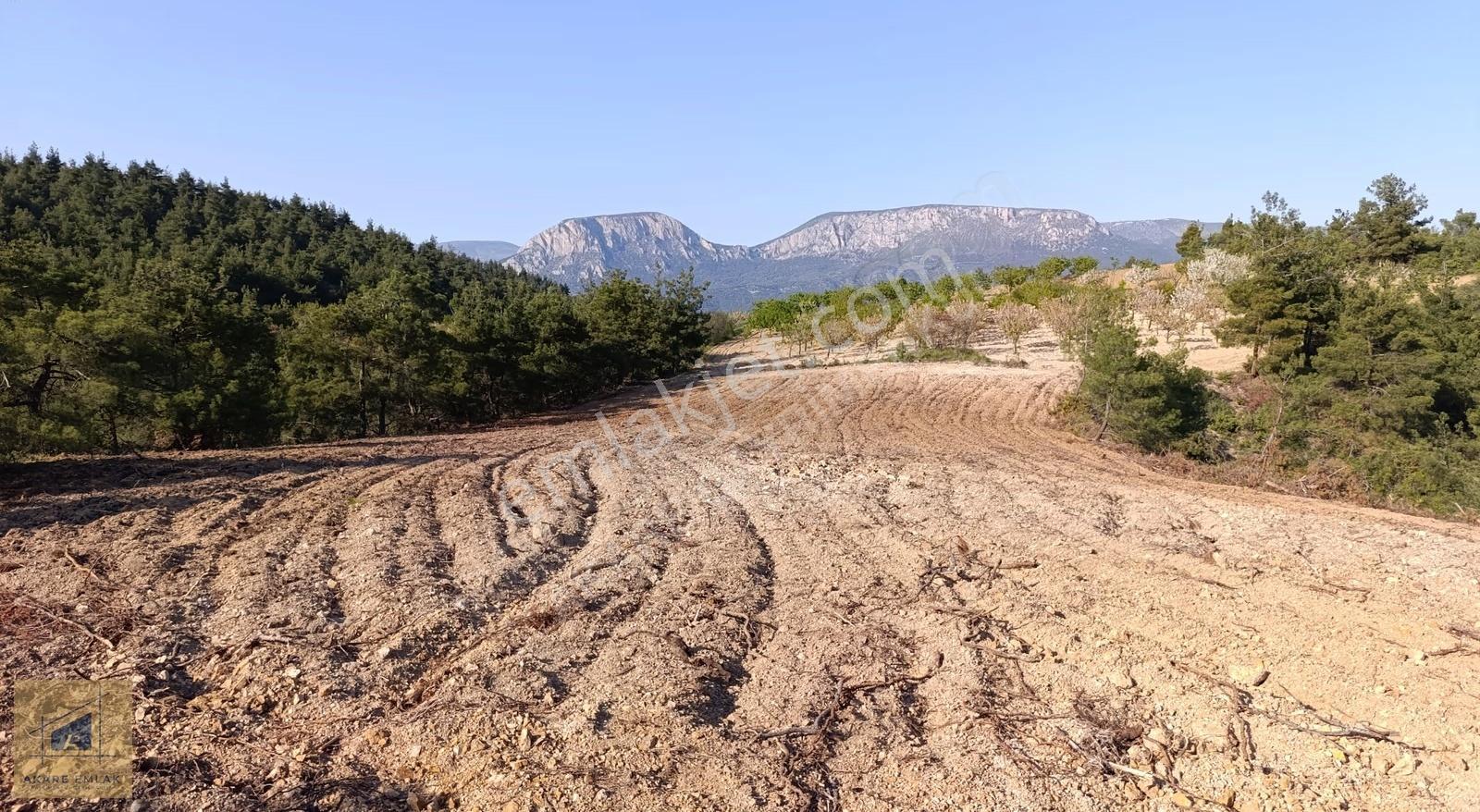 Bilecik Söğüt Küre'de Manzaralı 2.582 M² Satılık Tarla - Görsel 13