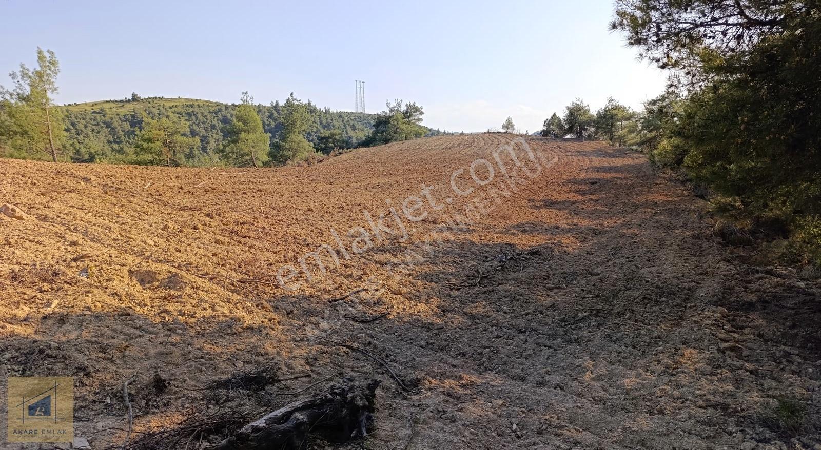 Bilecik Söğüt Küre'de Manzaralı 2.582 M² Satılık Tarla - Görsel 17
