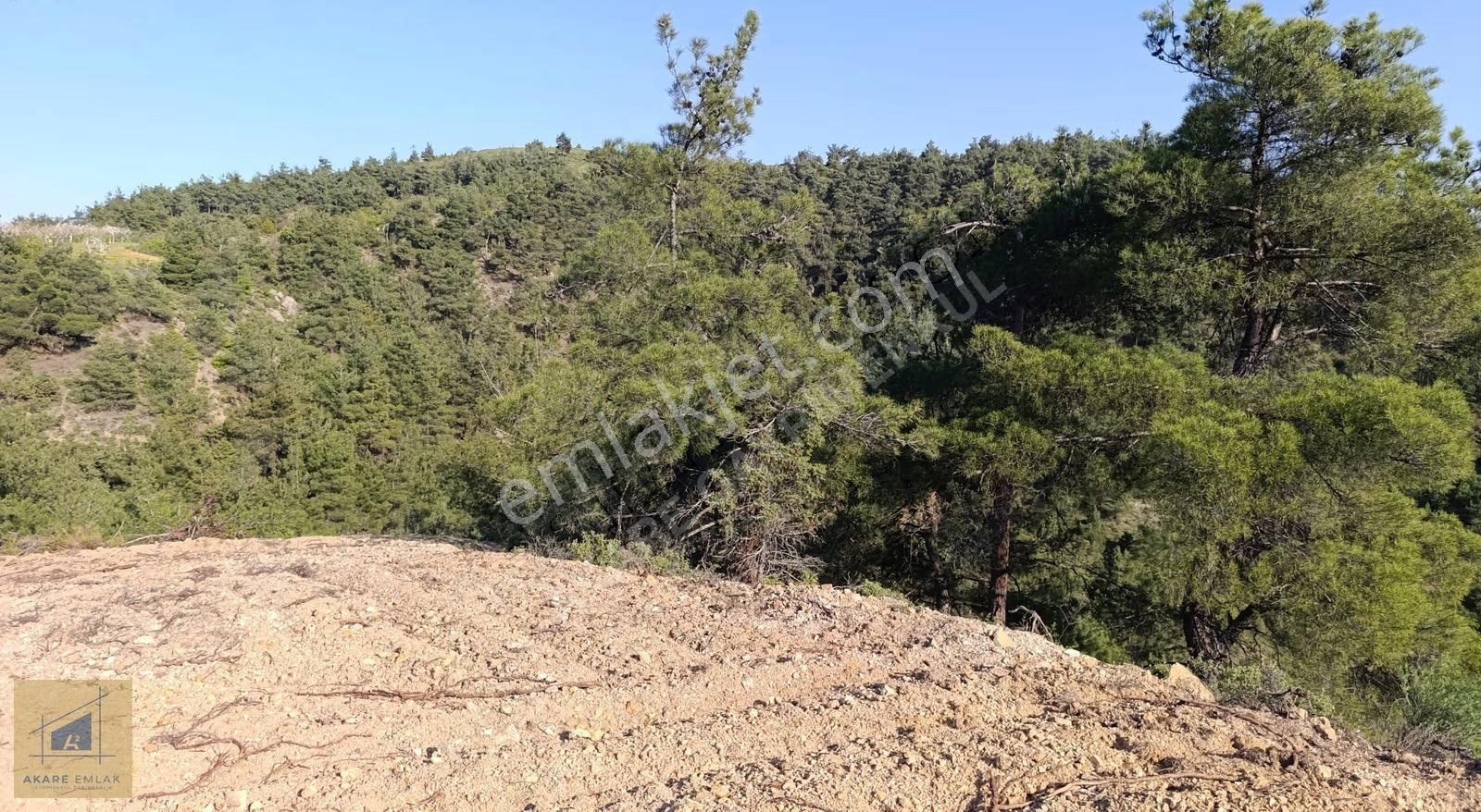 Bilecik Söğüt Küre'de Manzaralı 2.582 M² Satılık Tarla - Görsel 8