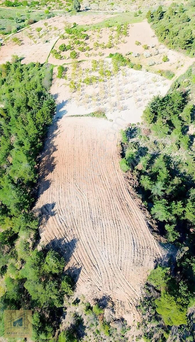 Bilecik Söğüt Küre'de Manzaralı 2.582 M² Satılık Tarla - Görsel 9