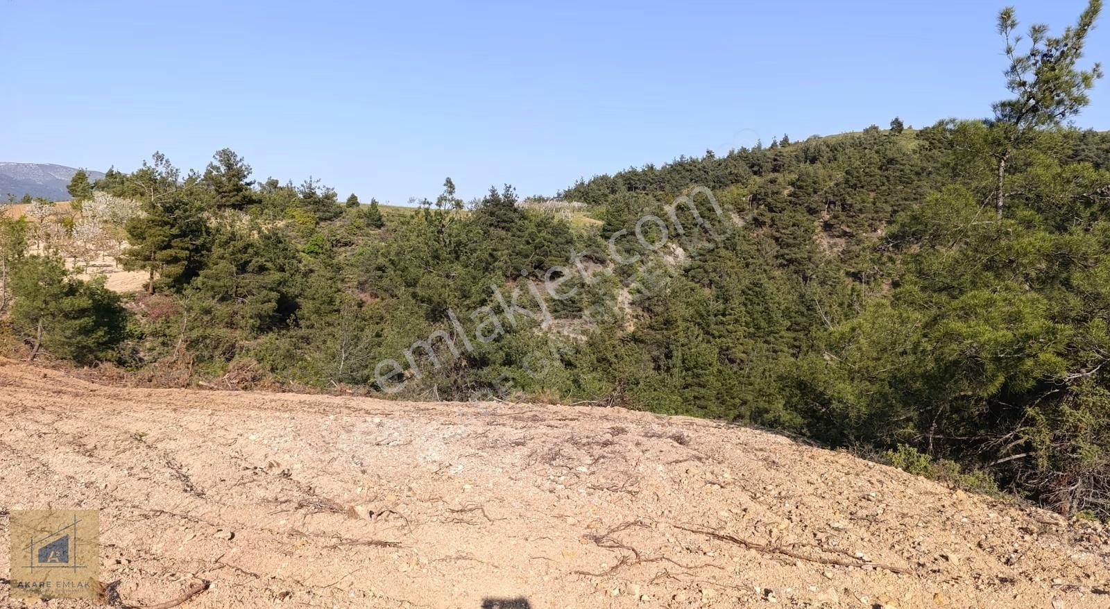 Bilecik Söğüt Küre'de Manzaralı 2.582 M² Satılık Tarla - Görsel 2