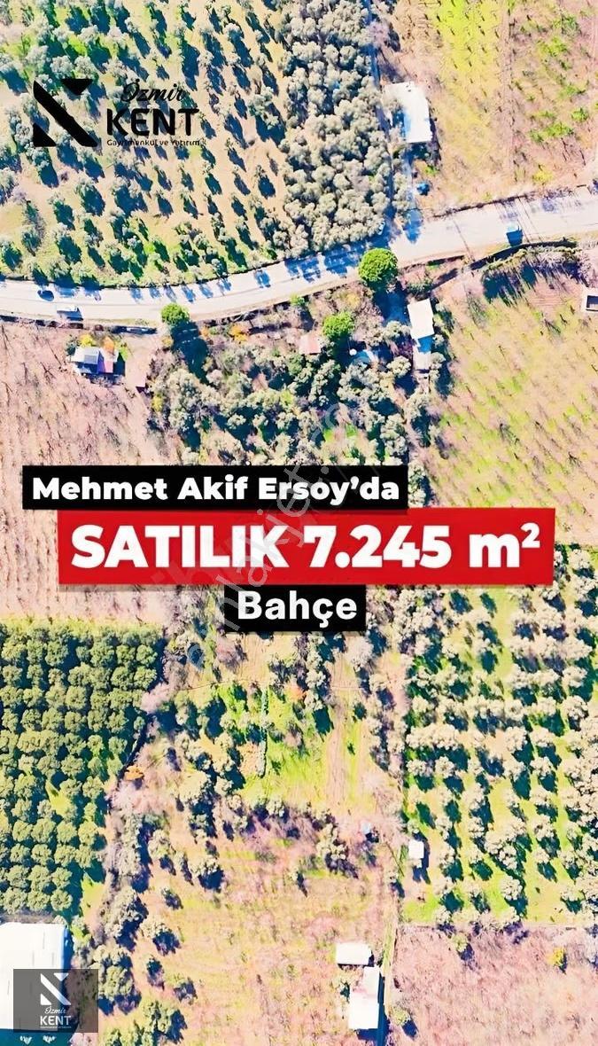 Kemalpaşa M.akif Ersoy Satılık 7.250 M2 Bahçe Tek Tapu - Görsel 8