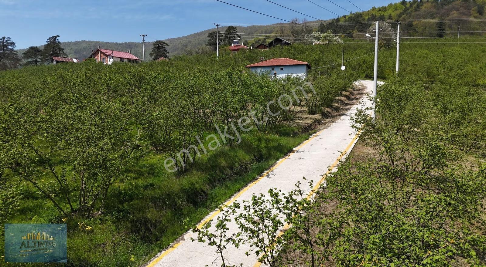 Doğanın İçinde Manzaralı Köşe Parsel Satılık Müstakil Ev - Görsel 3