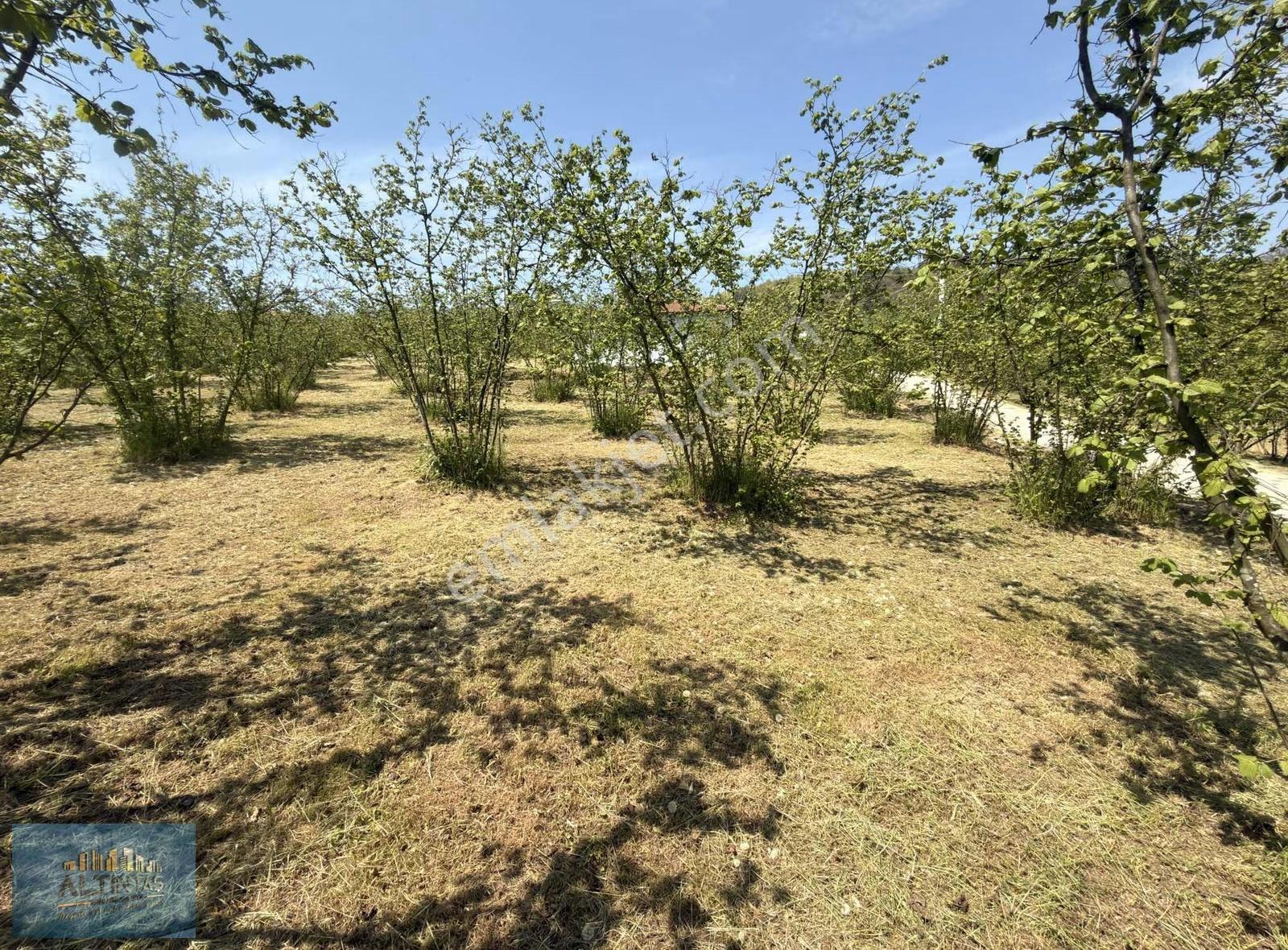 Doğanın İçinde Manzaralı Köşe Parsel Satılık Müstakil Ev - Görsel 18