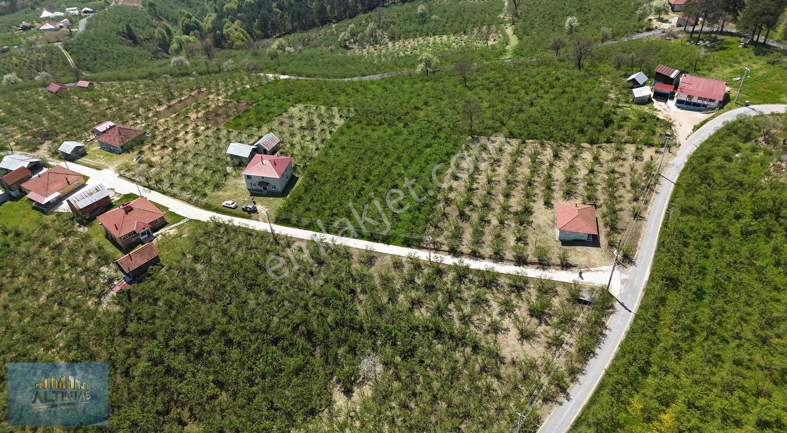 Doğanın İçinde Manzaralı Köşe Parsel Satılık Müstakil Ev - Görsel 7