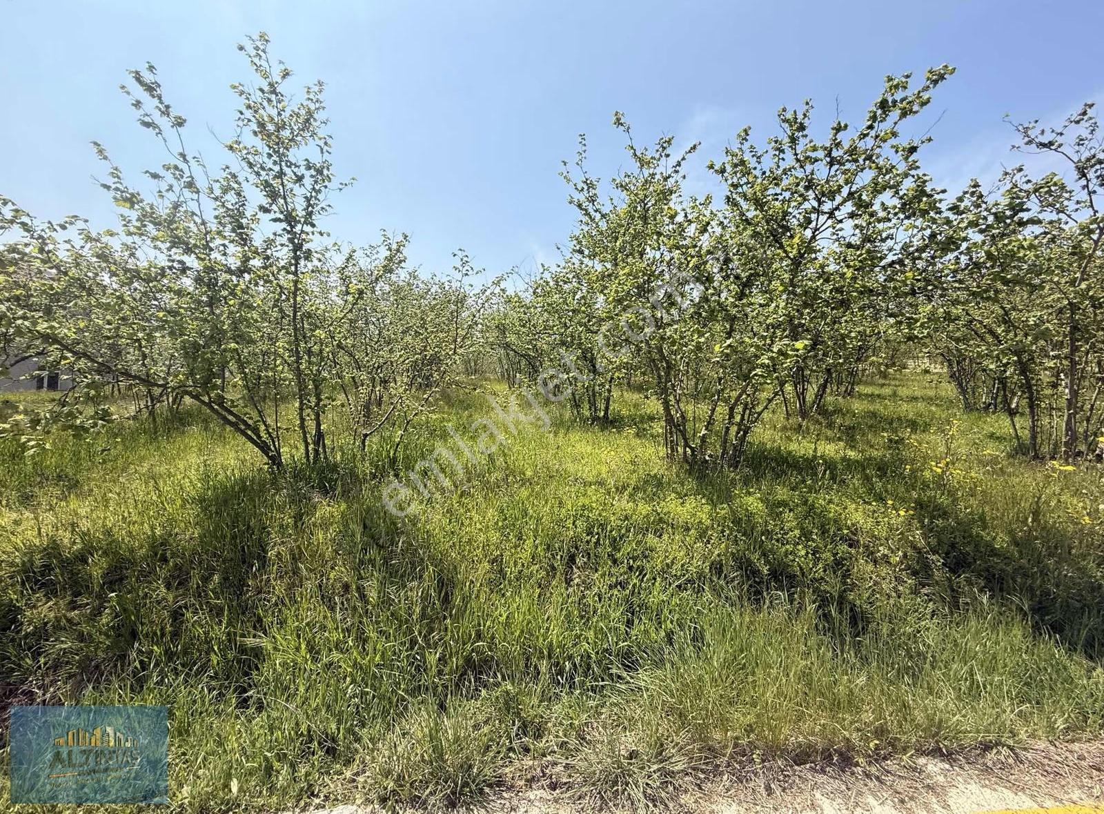 Doğanın İçinde Manzaralı Köşe Parsel Satılık Müstakil Ev - Görsel 12