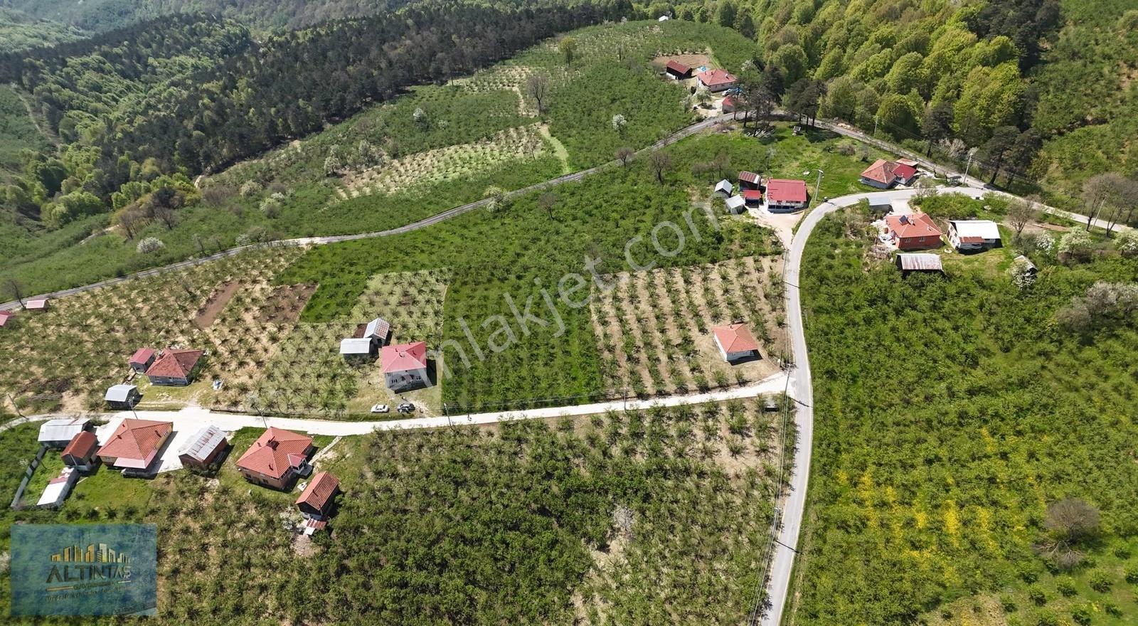 Doğanın İçinde Manzaralı Köşe Parsel Satılık Müstakil Ev - Görsel 13