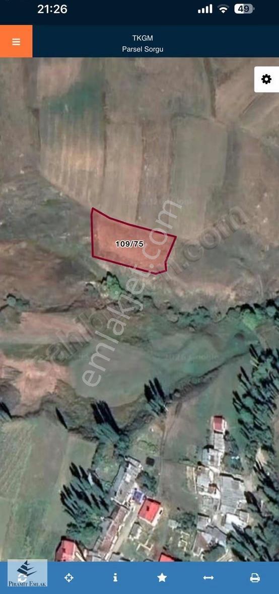 Piramit Gm Den Uzundere Yayla Mahallesinde Acil Satılık Tarla - Görsel 2
