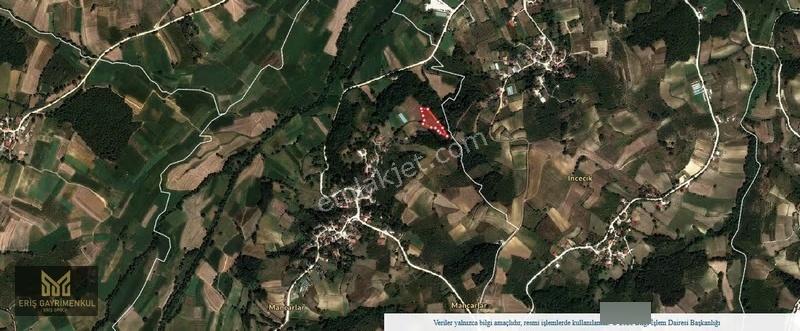 Kandıra Mancarlar Köyünde Yollu Fındık Bahçesi - Görsel 5
