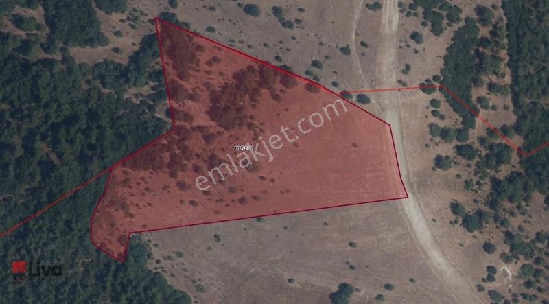 Altıeylül Bozende 15.000 M² Tarla | Çok Amaçlı Yatırım Fırsatı