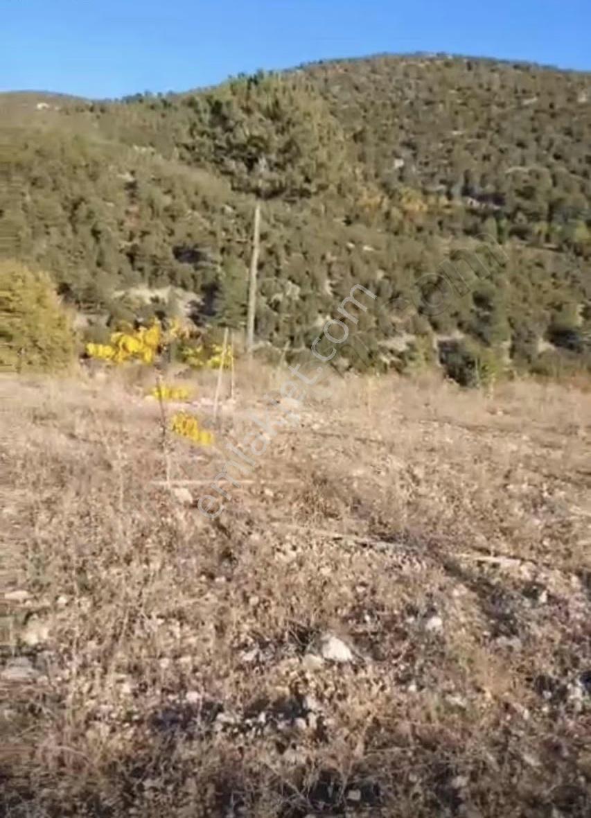 Burdur Gölhisarda Satılık 3700 M2 Bahçe