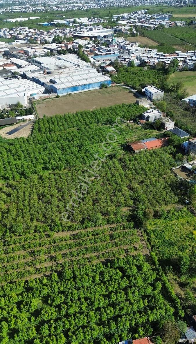 Yıldırım Samanlıda 3120 M2 Satılık Arazi - Görsel 12