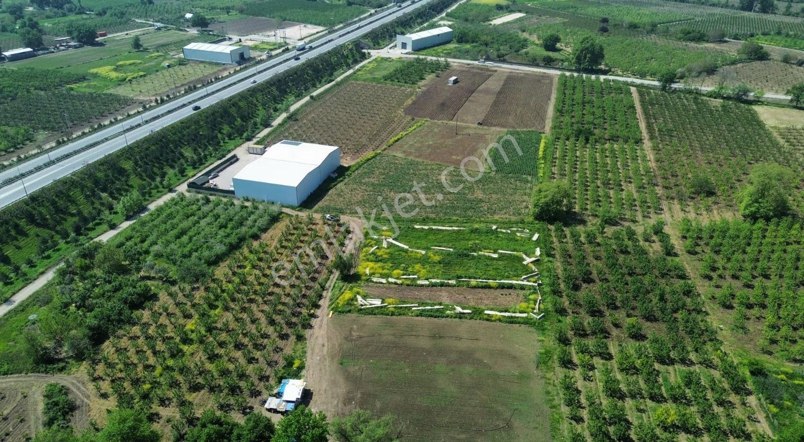 Osmangazi Ismetiyede 6000 M2 Satılık Arazi - Görsel 12