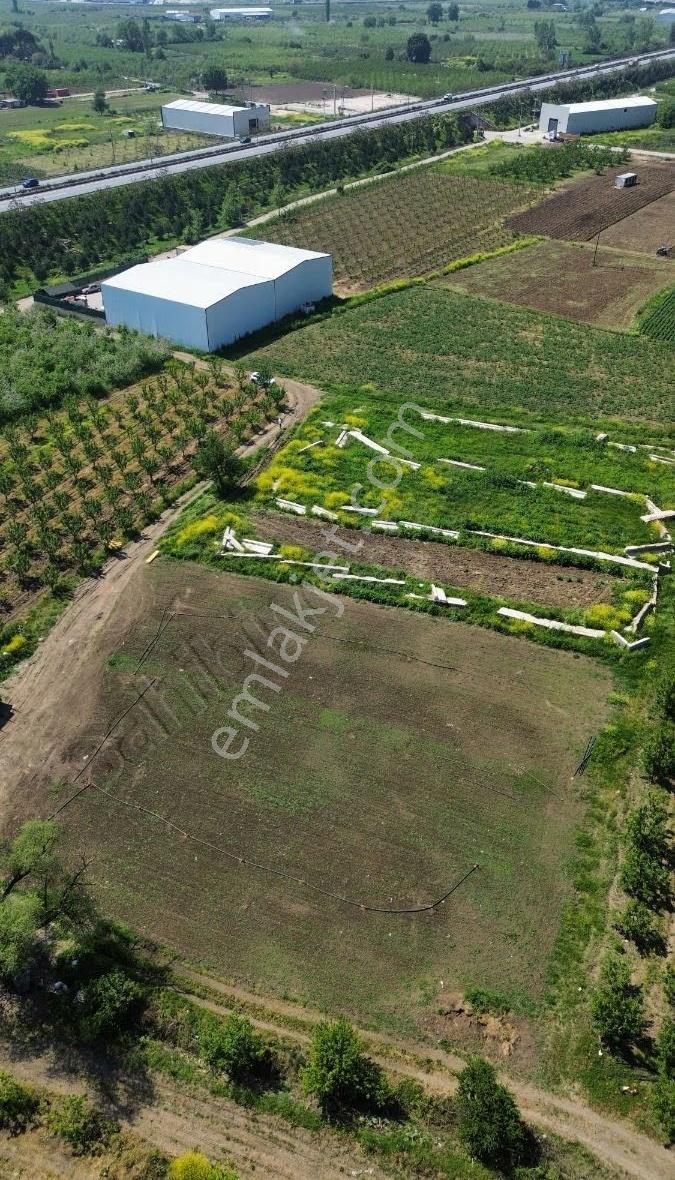 Osmangazi Ismetiyede 6000 M2 Satılık Arazi - Görsel 11