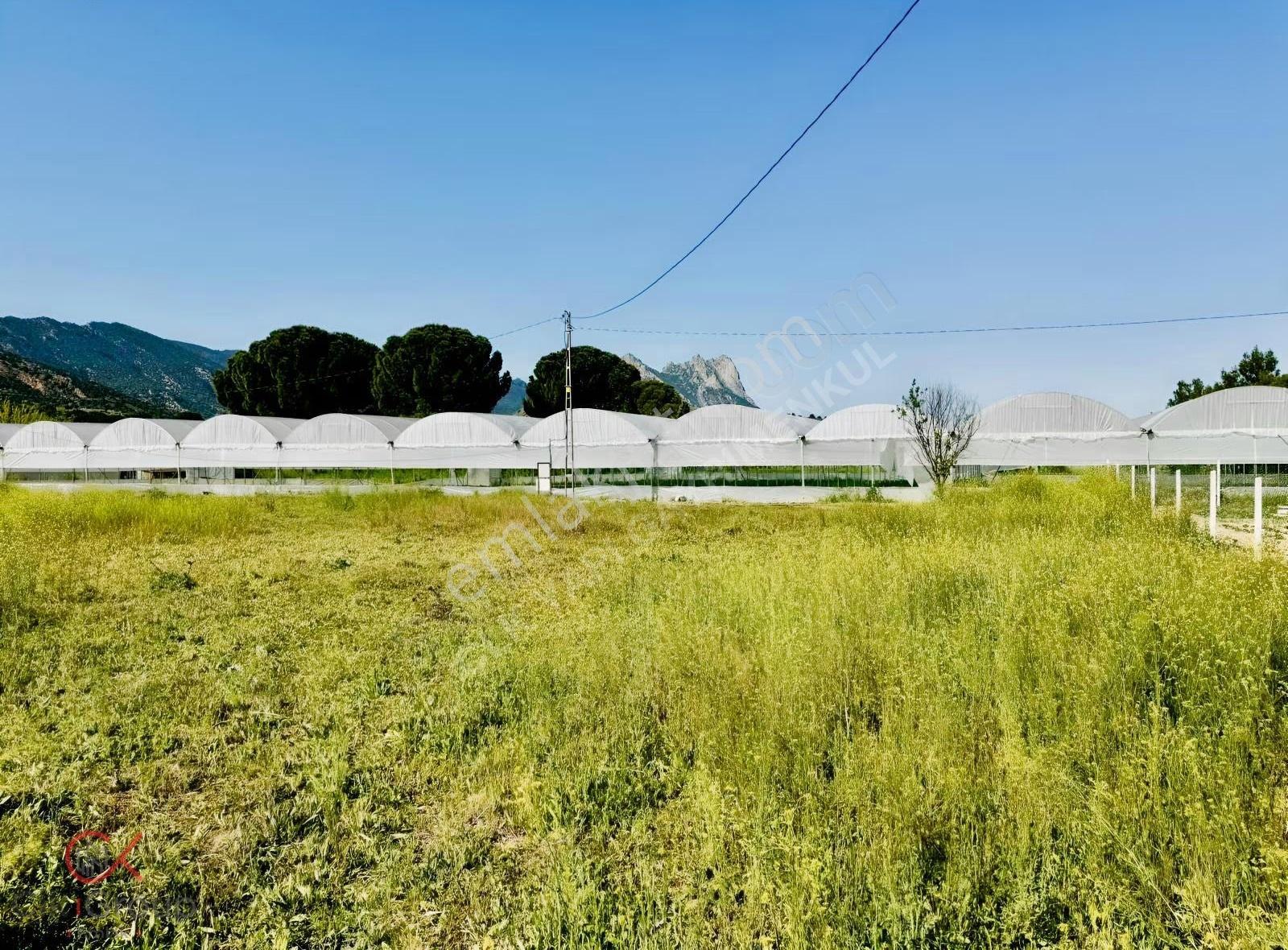 Clk Gayrimenkulden Mayıslarda Köy İçinde 1700 M² Yatırımlık Bağ - Görsel 2