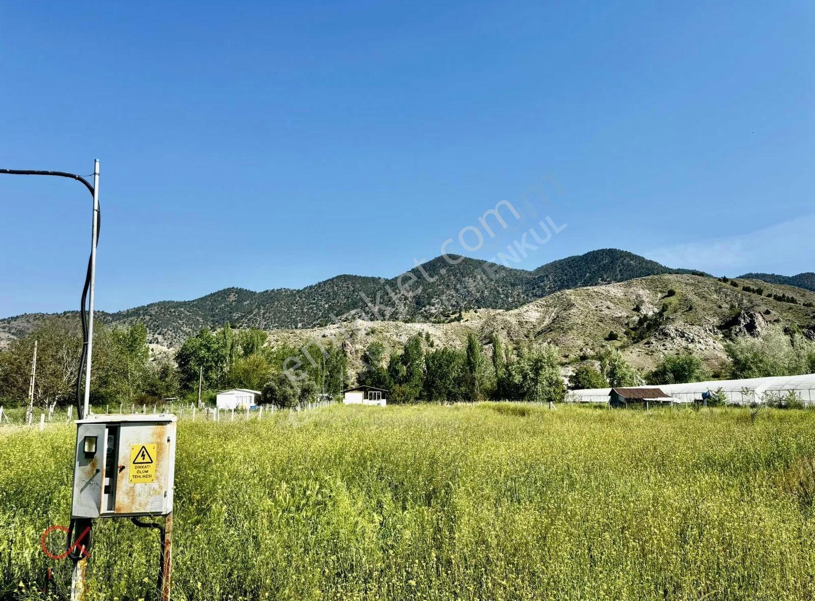 Clk Gayrimenkulden Mayıslarda Köy İçinde 1700 M² Yatırımlık Bağ - Görsel 5