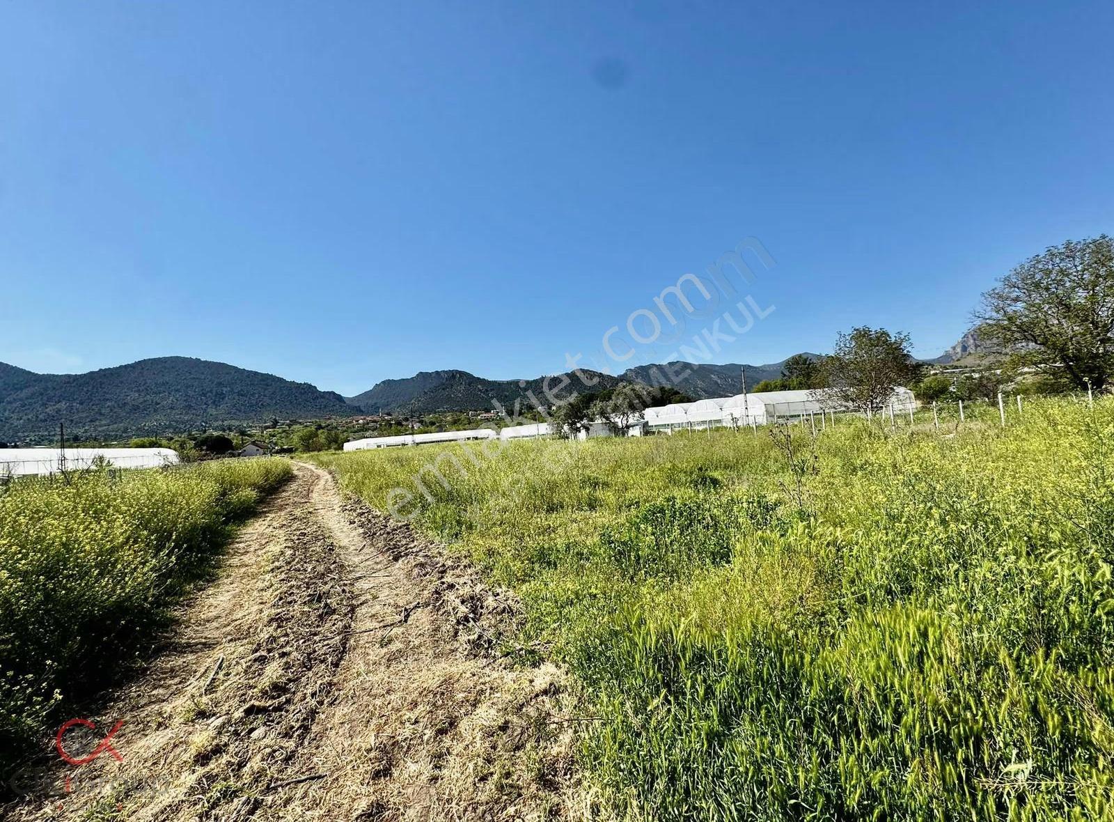 Clk Gayrimenkulden Mayıslarda Köy İçinde 1700 M² Yatırımlık Bağ - Görsel 11