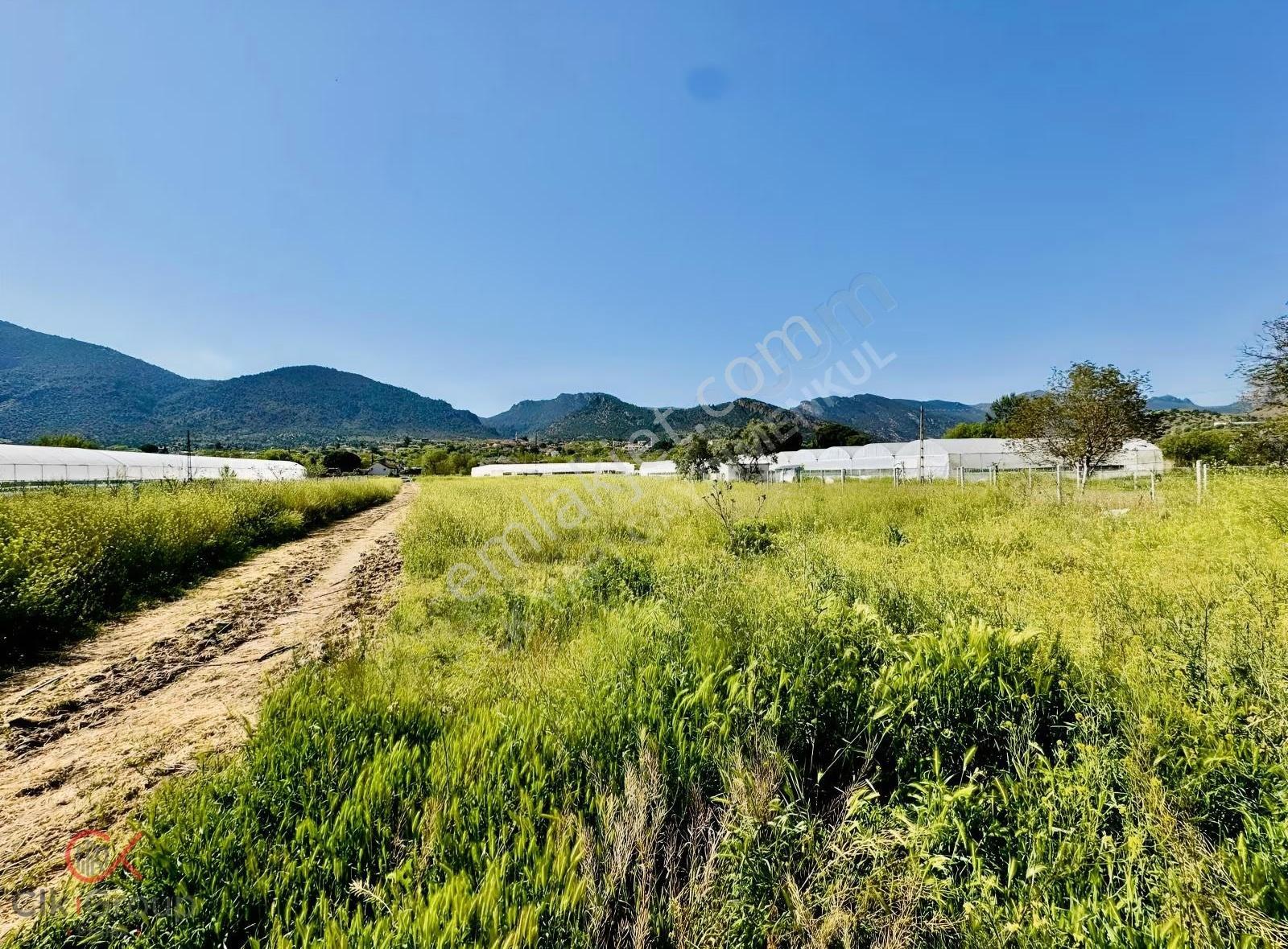 Clk Gayrimenkulden Mayıslarda Köy İçinde 1700 M² Yatırımlık Bağ - Görsel 3