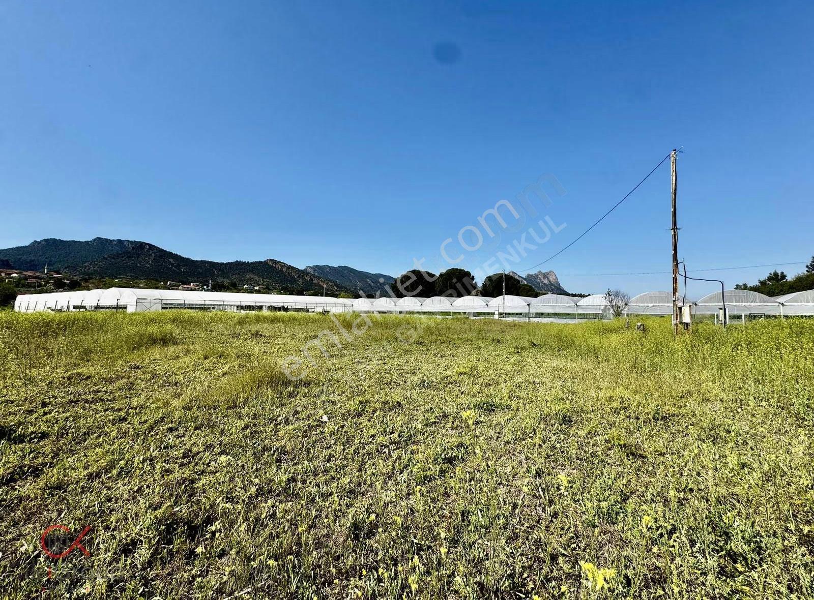 Clk Gayrimenkulden Mayıslarda Köy İçinde 1700 M² Yatırımlık Bağ - Görsel 14