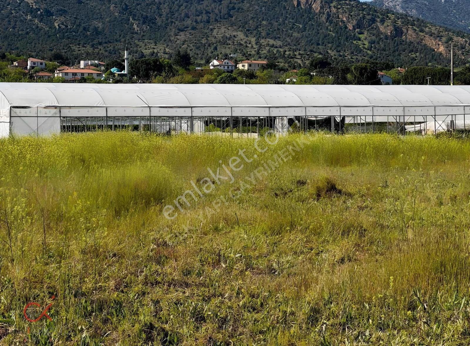 Clk Gayrimenkulden Mayıslarda Köy İçinde 1800 M² Yatırımlık Bağ